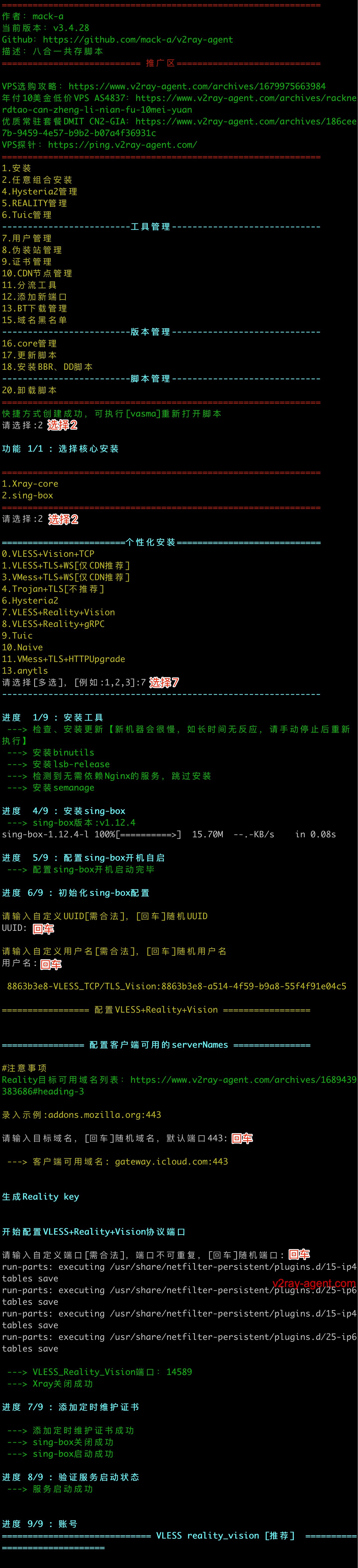 install_sing-box_reality.jpg