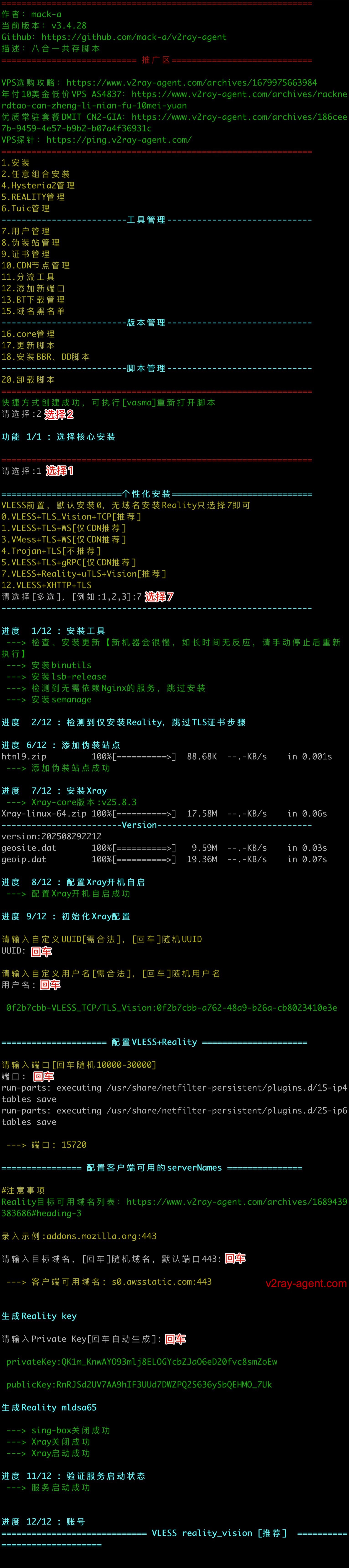 install_xray-core_reality.jpg